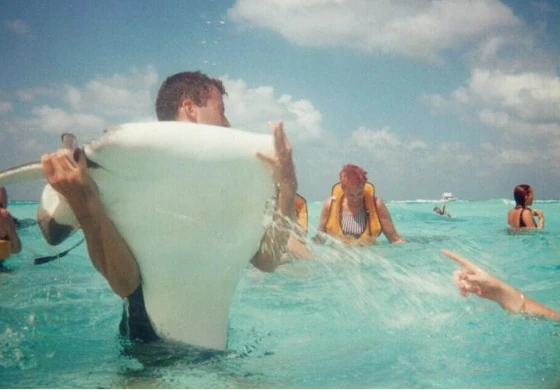 Stingray City - Cayman Islands